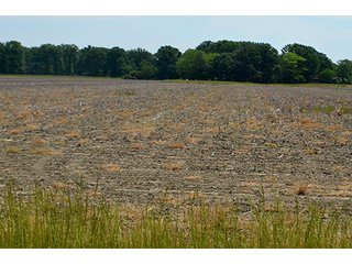 Property photo 5 - FARM & LAND AUCTION - 125+/- ACRES OFFERED IN 5 TRACTS IN EAST ALLEN COUNTY, INDIANA